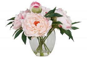 Peony Flower
