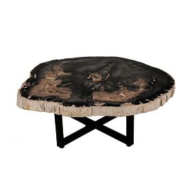 Fluger Petrified Wood Coffee Table