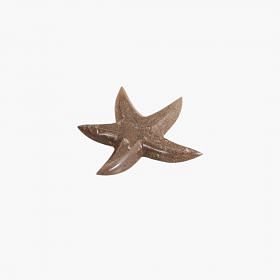 Majuli Deco Star Fish