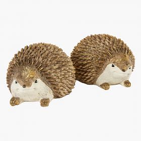 Hedgy Hedgehog (Set Of 2)