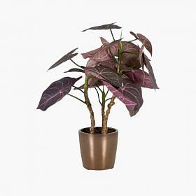 Anthurium Faux Plant
