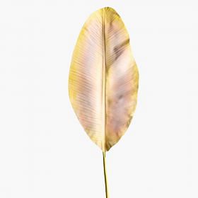 Banana Leaf