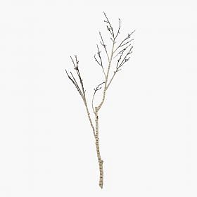 Twig Branch