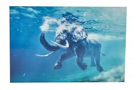 Water For Elephants Wall Art