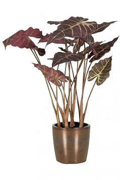 Alocasia Faux Plant