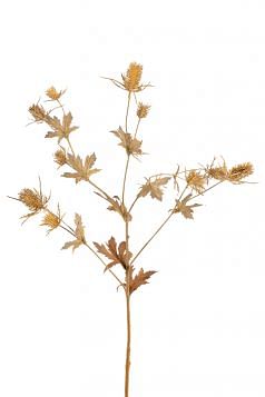 Thistle Stem