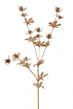 Thistle Stem